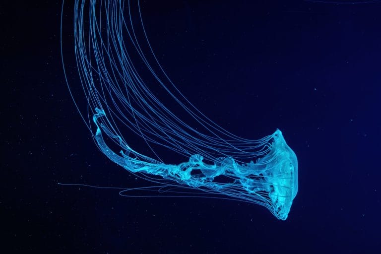 连续概率分布：业务数据该用哪个分布，以及四种常见误用